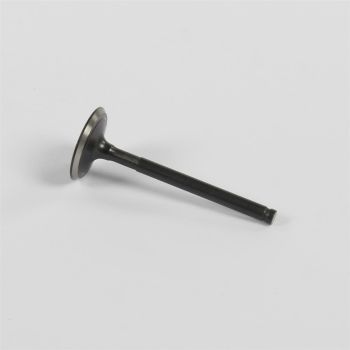 Sisselaskeklapp Lifan/YX 65.8mm - ø27mm