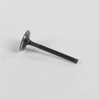 Sisselaskeklapp YX 150cc 73mm - ø28mm