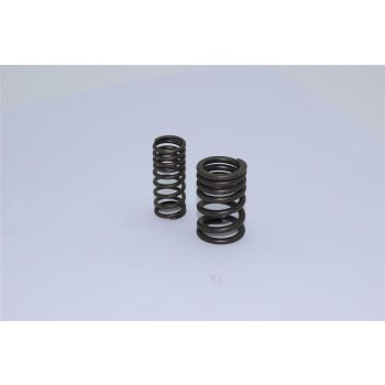 Ressorts de soupape 110/125cc