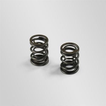 Ressorts de soupape 140/149 yx