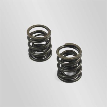 Ressorts de soupape 150/160 yx
