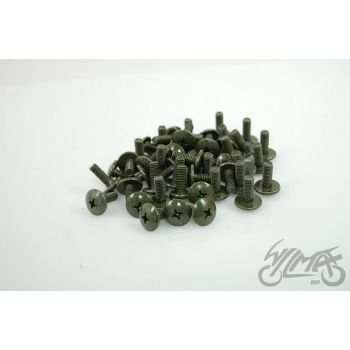 Polt M6x16, Scooter assebml. (50tk pakis), Philips
