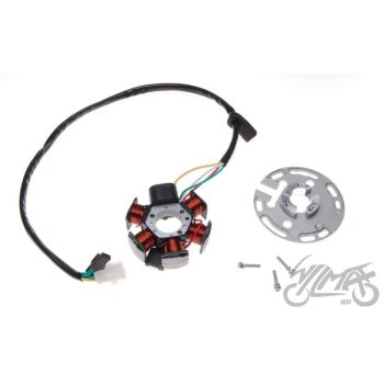 Süütemähis, 6 pooli, 5 juhet - Derbi Senda 2008