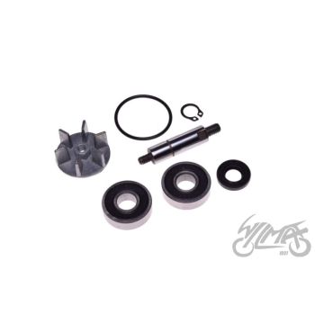 Veepump PREDATOR LC 98-01 DERBI ATLANTIS P