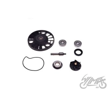 Veepump APRILIA ATLANTIC 125 Piaggio X8/9