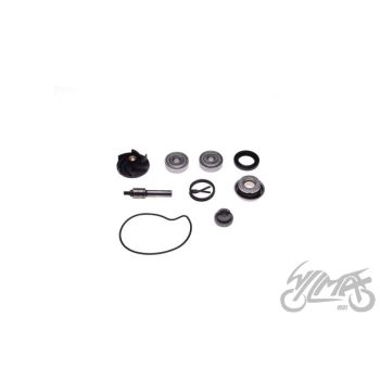 Veepump GILERA Piaggio BEVERLY 250-300