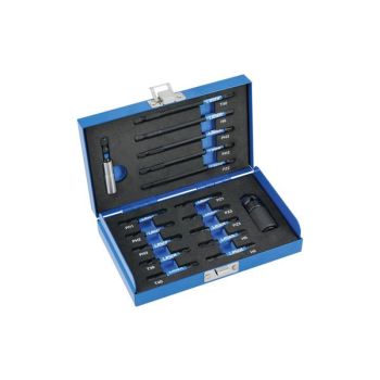 Torsioon otsikute komplekt 17-osa