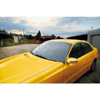 Sõiduauto esiklaasikate 180x85 cm