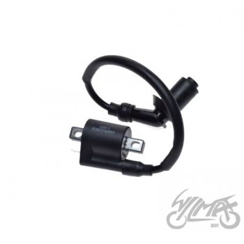 Süütepool ATV Bashan bs250s-5