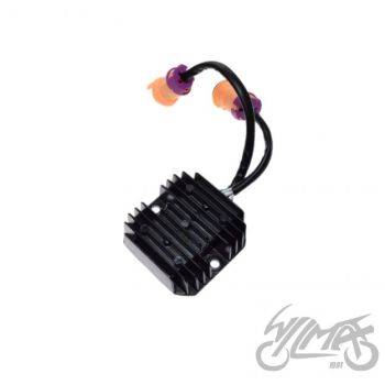Pingeregulaator ATV Bashan bs250s-5