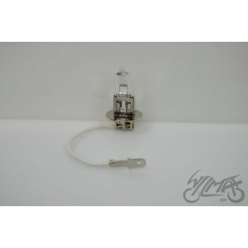 PIRN 12V 55W H3