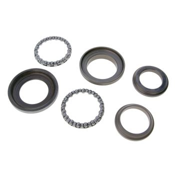 steering bearing set for Nexus, Beverly, X7, X8, X9