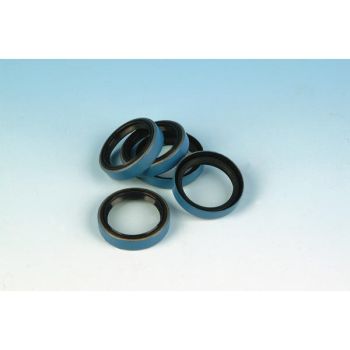 BLUE MAIN SEAL 91-06 B/T