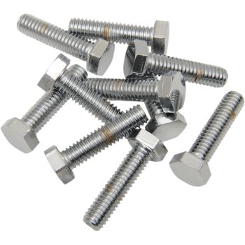 5/16"-18 X 1" CHR HEX HD