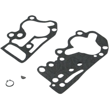 REPL.GASKETS F/DS-194061