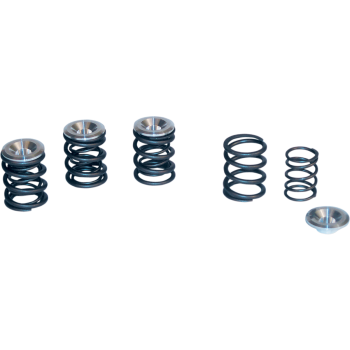BT VLV SPR KIT 48-84