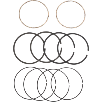 RINGS F/95 S S 3 7/8 STD