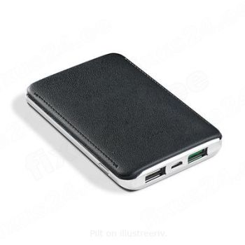 *Akupank Platinet 8000mAh Li-P