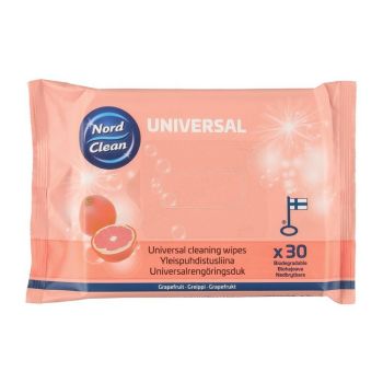 Üldpuhastuslapid greip 30tk