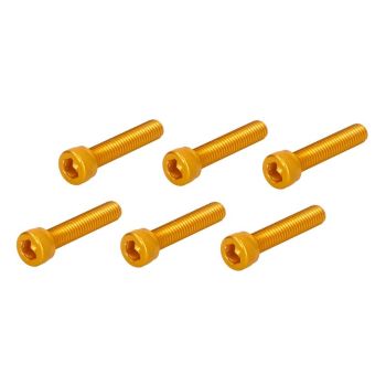 Polt Allen korter (M6x30, värv kuldne, 6 tk)