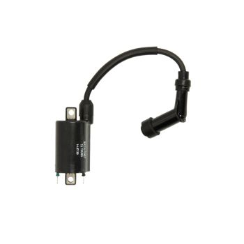 Süütepool RMS RMS 24 601 0092