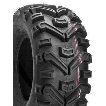27x12-12 60J DI2010 Buffalo 6PR
