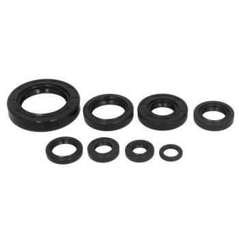 WINDEROSA Mootori tihendid komplekt WINDEROSA sobib HONDA 250R