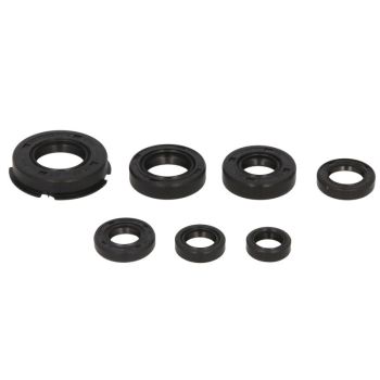 Mootori tihendid komplekt WINDEROSA sobib HONDA 250L, 250R