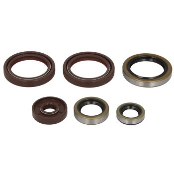 Mootori tihendid komplekt WINDEROSA sobib HUSQVARNA 450, 501, 501S; KTM 500, 500 (Six Days), 450