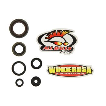 Mootori tihendid komplekt WINDEROSA sobib KTM 65