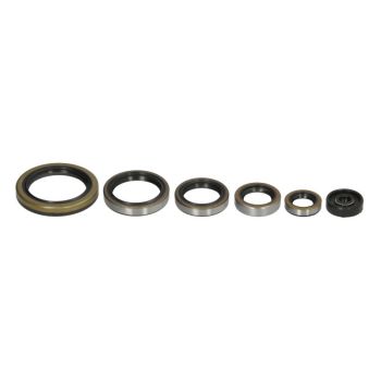 WINDEROSA Mootori tihendid komplekt WINDEROSA sobib KTM 300, 360, 380, 380 2T, 300 (Motocross), 380 4T