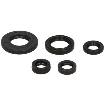 Mootori tihendid komplekt WINDEROSA sobib YAMAHA 125, 125E, 125L, 125LE
