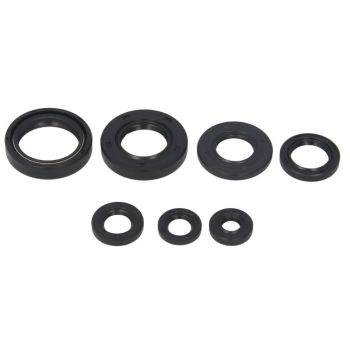 WINDEROSA Mootori tihendid komplekt WINDEROSA sobib YAMAHA 200 (Blaster)