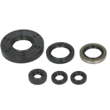 WINDEROSA Mootori tihendid komplekt WINDEROSA sobib POLARIS 425 4x4