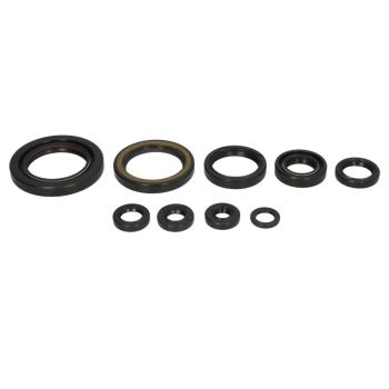 WINDEROSA Mootori tihendid komplekt WINDEROSA sobib HONDA 450ER, 450ER (E-Start), 450ER (Sporttrax) E-Start, 450ER (Sporttrax) K-Start, 450R, 450R (Sportrax), 450R (Sportrax E-Start)