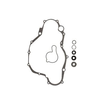 Remondikomplekt,veepump