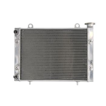 Radiaator RAD-225 sobib POLARIS 400, 400 4x4, 500 2x4, 500 4x4, 500 (Crew), 570 4x4, 700 (Crew), 800 4x4, 900 (Diesel), 900 (Diesel) Crew, 900 Diesel HST/Deluxe