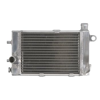 Radiaator RAD-501 sobib APRILIA 1000, 1000 (Mile), 1000R, 1000R (Factory)