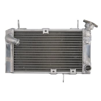 4 RIDE Radiaator RAD-538 sobib SUZUKI 650, 650S