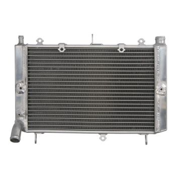 Radiaator RAD-663 sobib YAMAHA 1000 (Fazer)