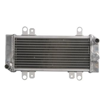 Radiaator RAD-668 sobib KAWASAKI 300 ABS (Ninja), 300 (Ninja)