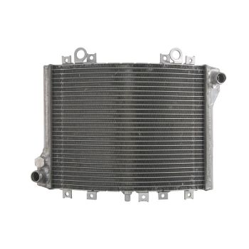4 RIDE Radiaator RAD-593 sobib KAWASAKI 1100D, 1100G (Kat)