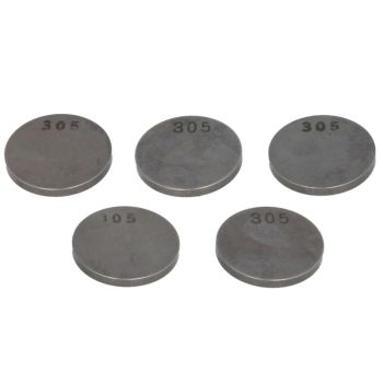 Ventiiliplaat PZ29305/5 29mm x3,05mm, Teras, (5 tk)