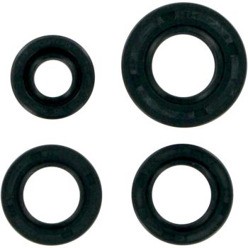 MSE MTR SEALS XR80 ´79-