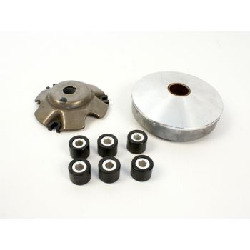 WARIATOR PIAGGIO 8,5g