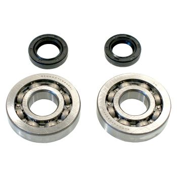 ŁOŻYSKO WAŁU TYPHOON 50 ZESTAW