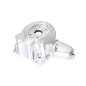 DEKIEL ZAPŁONU ATV 110/125 2 CEWKI OWALNY SREBRNY SILNIK POZIOMY Z OZNACZENIEM 139FMB, 147FMD, 152FMH, 154FMI WYSTĘPUJĄCY W ATV CHIŃSKIE QUADY, MOTOROWERY STREET, CROSS, CZOPER