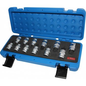 12-OS. 1/2" 12-TÄHIK XZN PADRUNOTSIKUTE KOMPL. M5-M17. FOAM TRIUMF