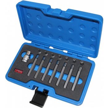 15-OS. 10MM(3/8") AVAGA 5-TORX PLUS OTSIKUTE KOMPL. PIKAD+LÜH. IPR15-IPR50 TRIUMF