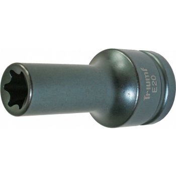 3/4" PIKK LÖÖKPADRUN TORX E32 (MB ACTROS) TRIUMF